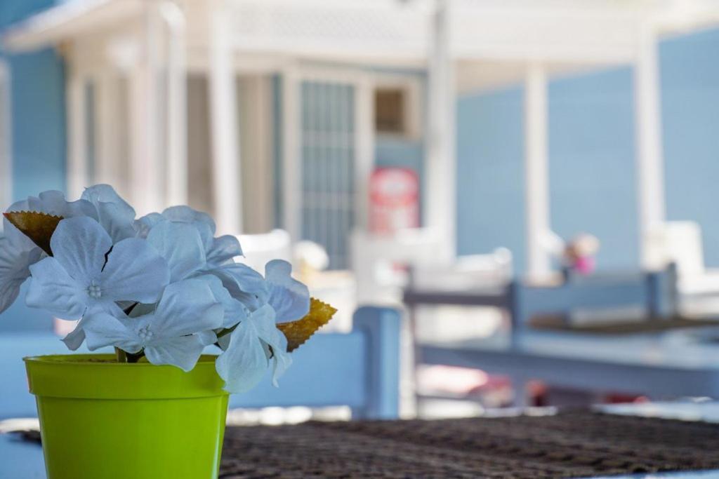 Cesme Minerva Port Hotel Exterior photo